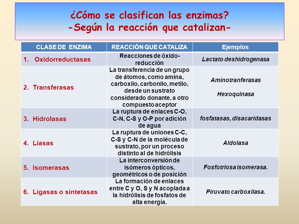 ejemplos de oxidorreductasas
